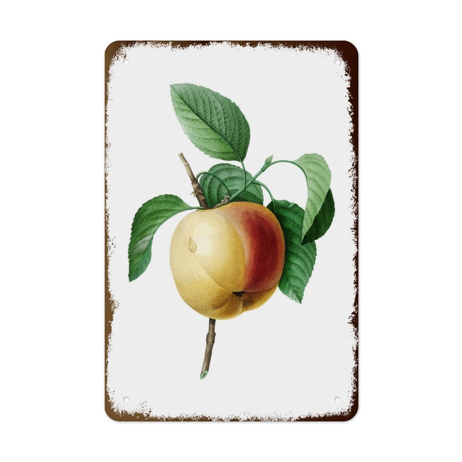 Home Bar Cafe - Vintage Botanical Flower Fruit Metal Tin