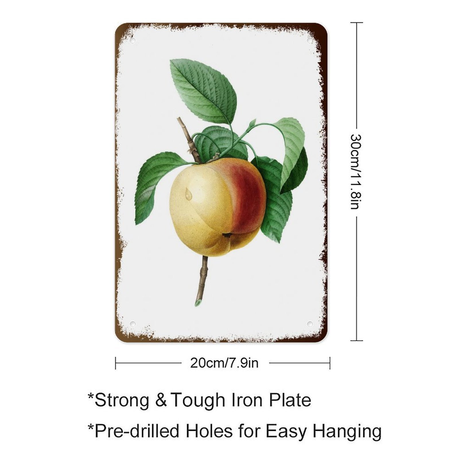 Vintage Botanical Flower Fruit - Home Bar Cafe review and price